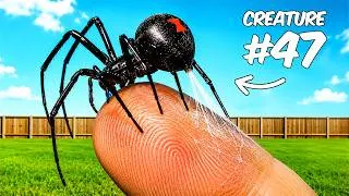 Thumbnail: What's Really Living in My Backyard? ( I Had No Idea..)