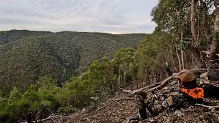 Thumbnail: 🏕️ Solo Bush Camping in Remote Mountains | Campfire Cooking & Sambar Hunting