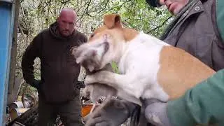 Thumbnail: let the season begin ratting with terriers