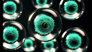 Thumbnail: Cells healing - Sleep well and heal as you sleep
