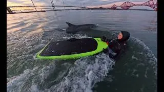 Thumbnail: I Made Friends with a Dolphin in Scotland!