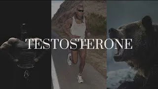 Thumbnail: TESTOSTERONE!