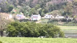 Thumbnail: Goodbye to Spring  Josh Woodward   Devon and Dorset scenes