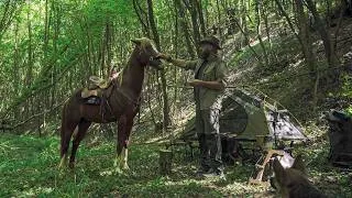 Thumbnail: Wild Boars Rushed Through Our Camp at Night! My Horse Broke Free!