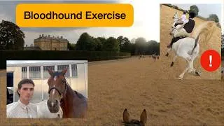 Thumbnail: Getting the Horses Fit for the Season with the Bloodhound Exercise | Equestrian