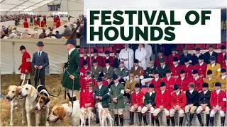 Thumbnail: The Festival of Hounds 2026 - Britain's Biggest Celebration of Foxhounds | Equestrian