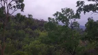 Thumbnail: Morning Music -  Our Seasonal Creek Flowing After Heavy Rain