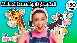 Thumbnail: Animal Learning for Toddlers with Ms Rachel - 3 Full Episodes - Learn Animal Sounds - Best Videos