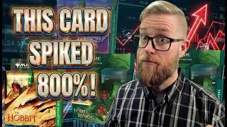 Thumbnail: THIS CARD SPIKED 800% Because Of The HOBBIT