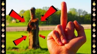 Thumbnail: I Found a Tree That Looks Exactly Like🖕(Middle Finger)!!! Won't Believe Its True!!!