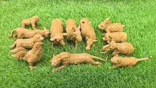 Thumbnail: Learn Animal Names with Wild and Farm Animals | Fun Preschool Vocabulary