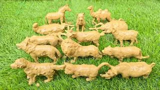 Thumbnail: Roaming Through the Beautiful World of Farm and Safari Animals 🐄🦁