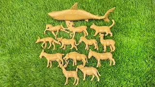 Thumbnail: Unlocking the Secrets of Land and Water Animals for Curious Minds
