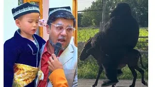 Thumbnail: Anjanli boladan yangisi