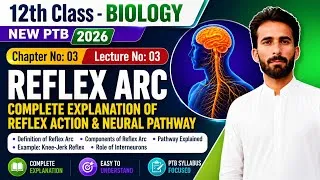 Thumbnail: Reflex Arc | Reflex Action & Neural Pathway | Class 12 Biology | Chapter 03 Lec 03 | New PTB 2026