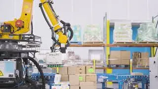 Thumbnail: Unlock the Power of Intelligent Robotics for Automated Mixed-SKU Depalletizing
