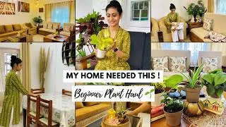 Thumbnail: My Plant Journey Begins 🌿 | Beginner-Friendly Indoor Plants | Ugaoo Plant Haul | Home Decor