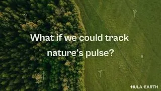 Thumbnail: From Sound to Satellite   How We Combine Bioacoustics and Remote Sensing for Biodiversity Insights b