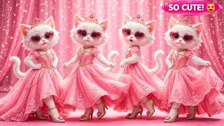 Thumbnail: मजेदार बिल्ली डांस 😺💃 billi ka dance video | Cat videos | funny kitten | billi dance | @munmuntvabcd