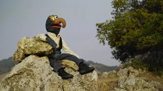 Thumbnail: Gonzo Performs "I'm Going to Go Back There Someday"