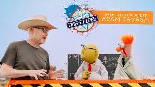 Thumbnail: Muppet Labs Field Test: Gravity! Featuring Adam Savage | The Muppets
