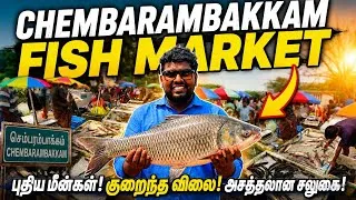 Thumbnail: செம்பரம்பாக்கம் மீன் மார்க்கெட்டில் மீன் விலை இவ்வளவு குறைவா?😱| Cheapest Chembarambakkam Fish Market