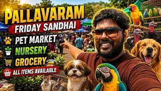 Thumbnail: Chennai Pallavaram Sandhai Beautiful Gardening plants and Kitchen Accessories | பல்லாவரம் சந்தை vlog