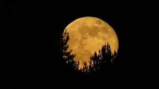 Thumbnail: Just feel it 🎧 #music #universe #moon