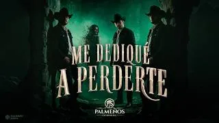Thumbnail: Los Palmeños De Sinaloa - Me Dediqué A Perderte (Lyric Video)