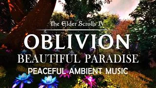 Thumbnail: Paradise - Peaceful Ambient Music | Oblivion Remastered