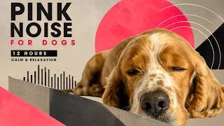 Thumbnail: 12 Hours Pink Noise for Dogs 🩷🐶 Deep Sleep, Relaxation & Anxiety Relief | Black Screen
