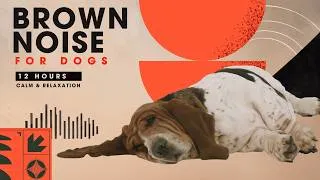 Thumbnail: 12 Hours Brown Noise for Dogs 🐶 Black Screen | Fireworks Relief, Deep Sleep & Stress Reduction