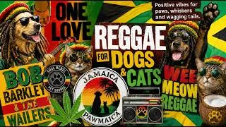 Thumbnail: Reggae for dogs & cats - Ambience & Stress-Free Rest | Separation Anxiety Relief