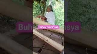 Thumbnail: Buhay probinsya