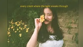 Thumbnail: we really fell in love.. [playlist]