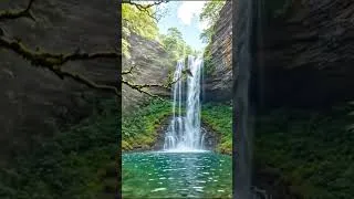 Thumbnail: 🍃 Peaceful Waterfall in a Lush Forest | Relaxing Piano Music for Sleep, Study & Healing