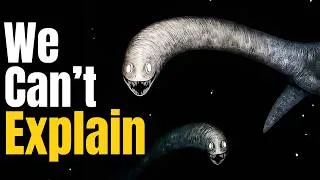 Thumbnail: The Most Bizarre Extinct Creatures Ever Found | MuzStudio
