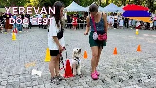 Thumbnail: Yerevan Dog Fest 2026 🇦🇲 | Dogs, Games & Pet Fun in Yerevan