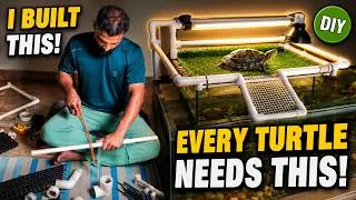 Thumbnail: Building the Perfect Turtle Basking Platform | DIY PVC Turtle Loft (Time Lapse)