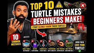 Thumbnail: Top 10 Turtle Mistakes Beginners Make (That Slowly Harm Their Turtle)