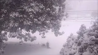 Thumbnail: 10 Hours of Heavy Snow