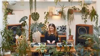 Thumbnail: Experimental Tales: Electronic, Indie Pop and Jazz with Mafalda