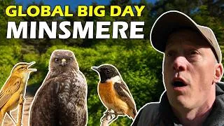 Thumbnail: Global Big Day 2026 at RSPB Minsmere: Our BEST Birding Yet?