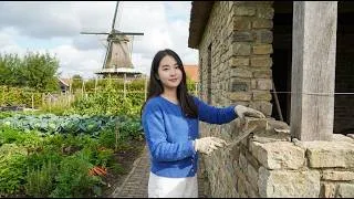 Thumbnail: CEO My has left the city and returned to the countryside to build a house in the Netherlands.