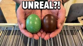 Thumbnail: I Put GREEN and DARK CHOCOLATE Eggs in an Incubator...  🐣