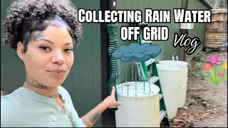 Thumbnail: COLLECTING RAIN WATER ON OUR HOMESTEAD