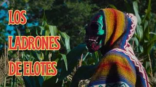 Thumbnail: LOS LADRONES DE ELOTES | Short Horror Film