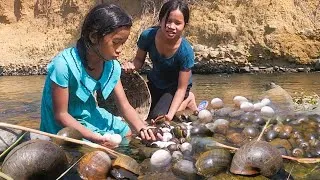 Thumbnail: Two sister pick a lot snail and duck egg near river- Steamed snail & duck egg with salt so delicious