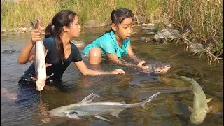 Thumbnail: Two sister catch fish by hand for food- Grilled fish for dinner cook and eat tasty delicious