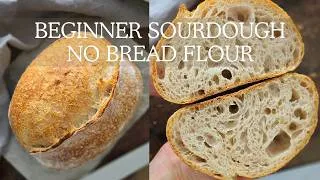 Thumbnail: Beginner Sourdough with Plain Flour | No Bread Flour Needed